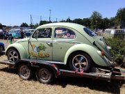 Beetle Show Rioz (75)